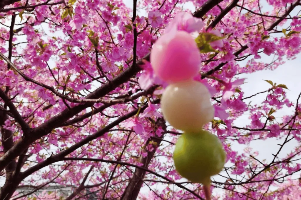 Hanami dango. Imagem de um hanami dango e ao fundo várias arvores de sakura.