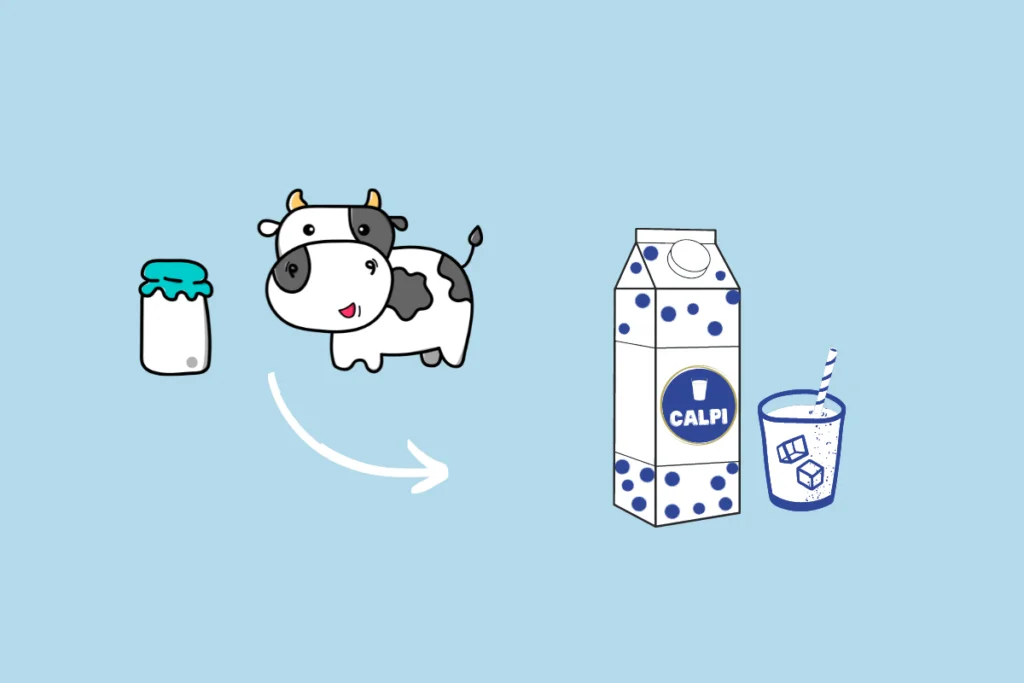 Imagem de uma vaca para indicar a matéria prima do calpis e ao lado o produto pronto em uma caixa.