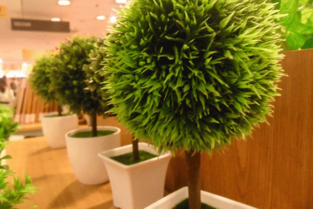Bonsai artificial
