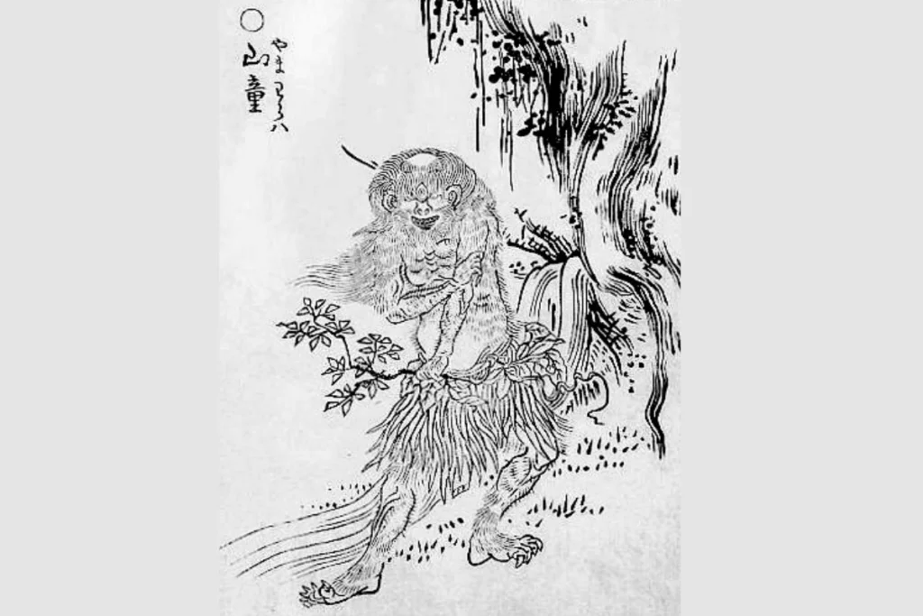 ilustração do yokai yamawaro feita por toriyama sekien
